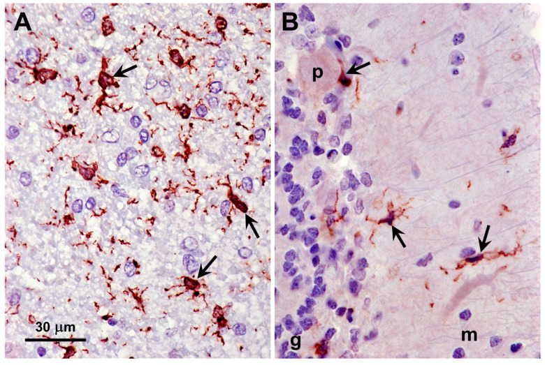 Figure 16