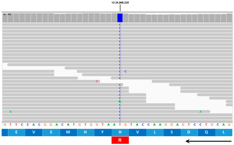 Figure 18