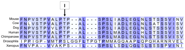 Figure 19