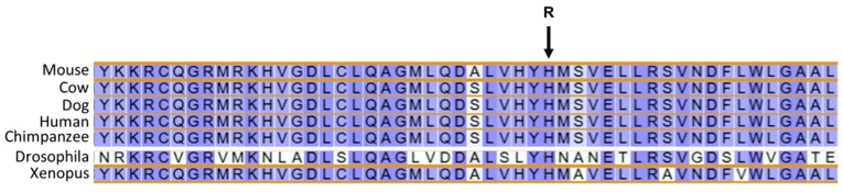 Figure 20