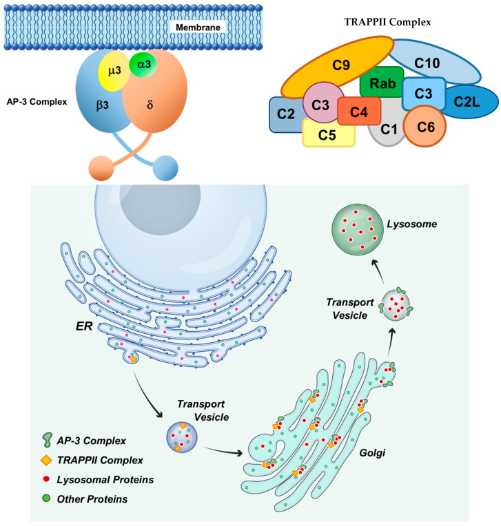 Figure 21