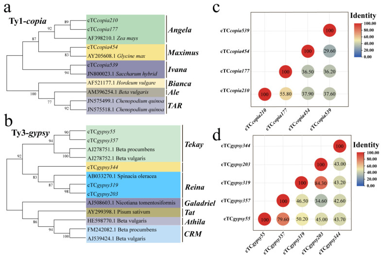 Figure 6