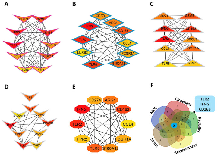Figure 4