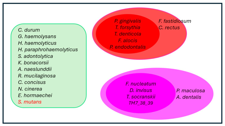 Figure 12
