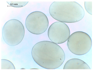 Figure 10
