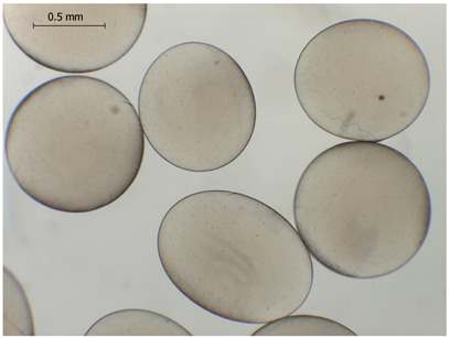 Figure 15