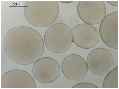 Figure 18