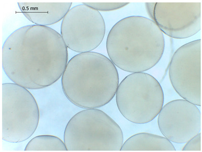 Figure 19