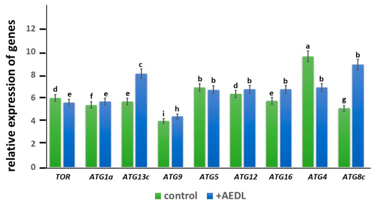 Figure 9