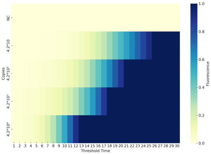 Figure 10