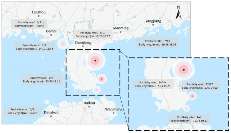 Figure 14