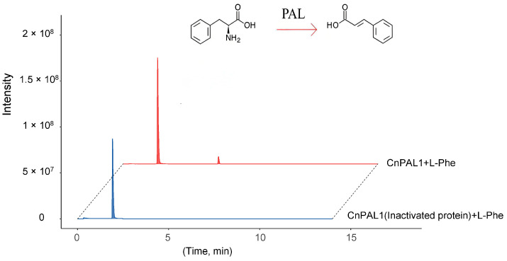 Figure 10