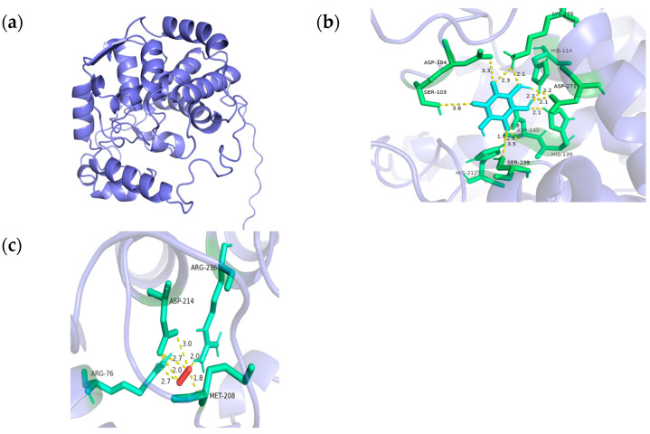 Figure 12