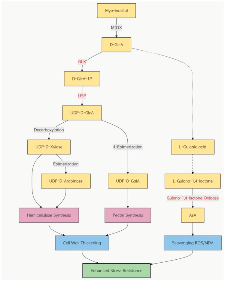 Figure 13
