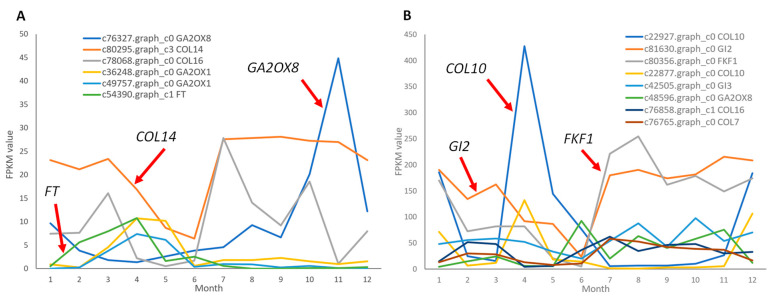 Figure 7
