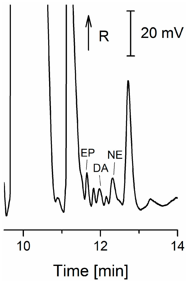 Figure 8