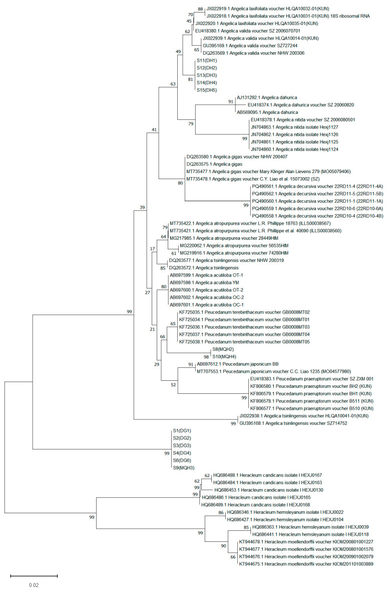 Figure 6