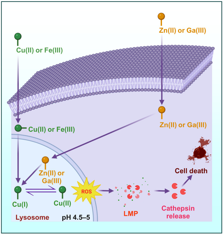 Figure 9