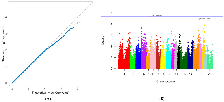 Figure 10