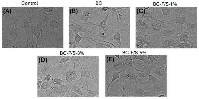Figure 5