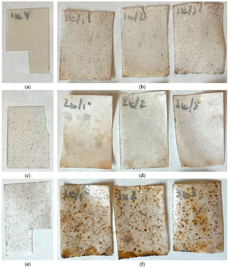 Figure 19