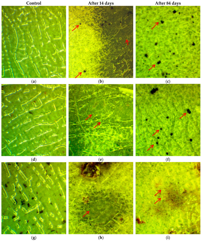 Figure 20