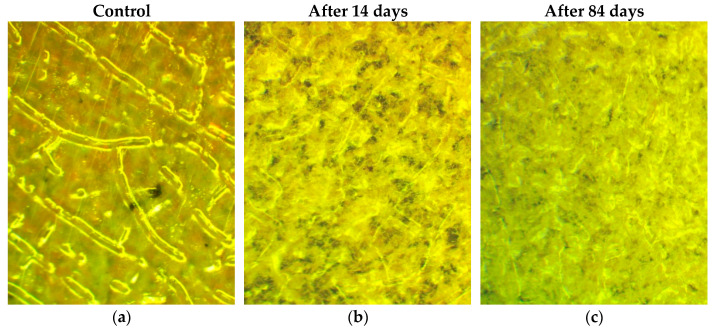Figure 21