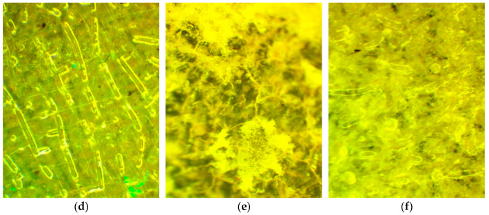 Figure 22