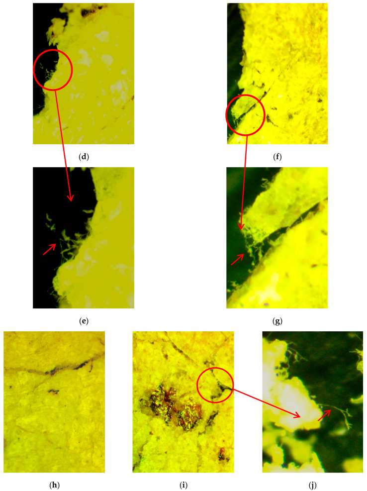 Figure 24