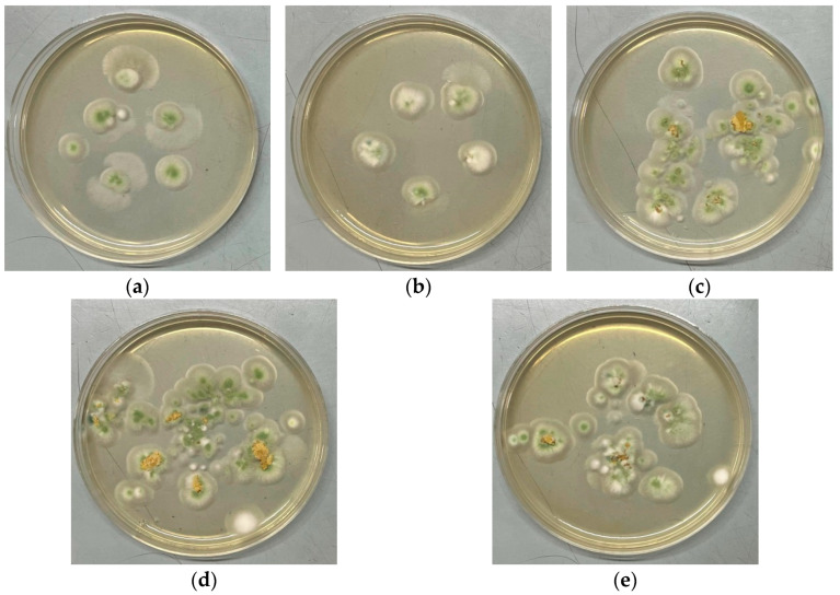 Figure 25