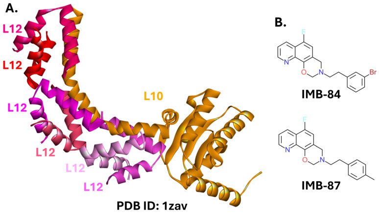 Figure 12