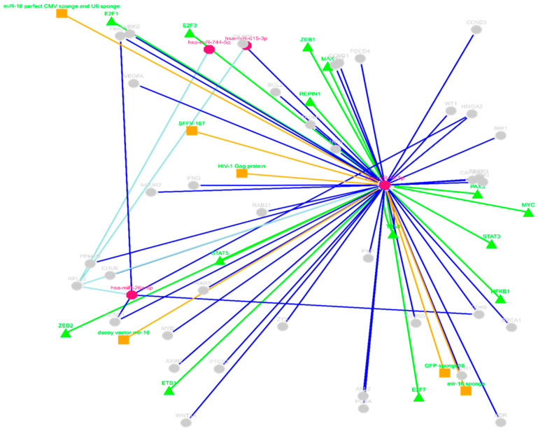 Figure 5
