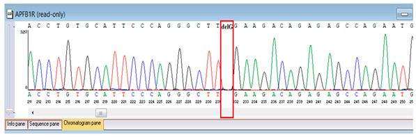 Figure 5