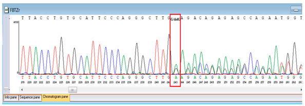 Figure 7