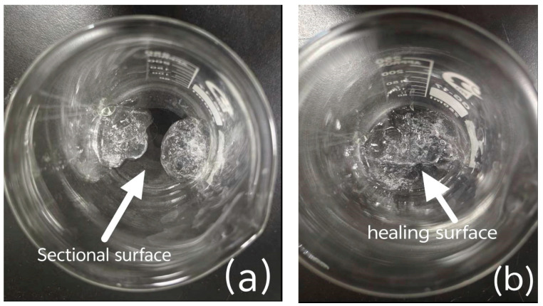 Figure 13