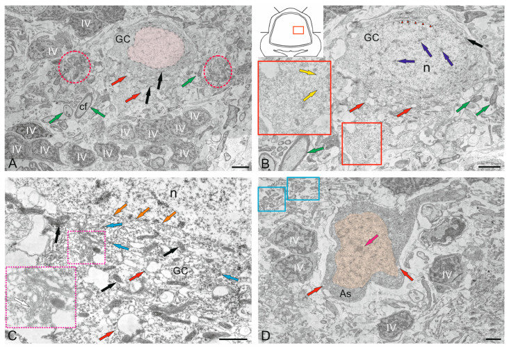 Figure 14