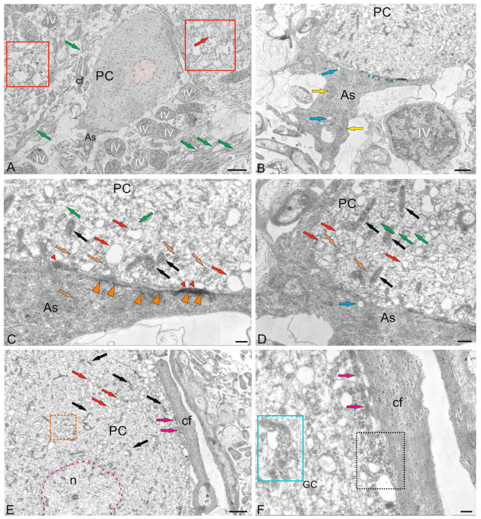 Figure 16