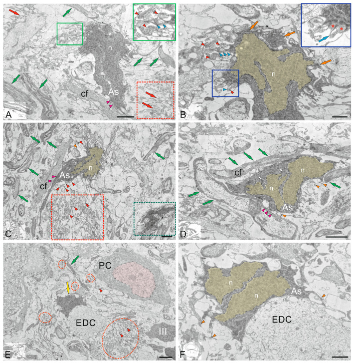 Figure 17