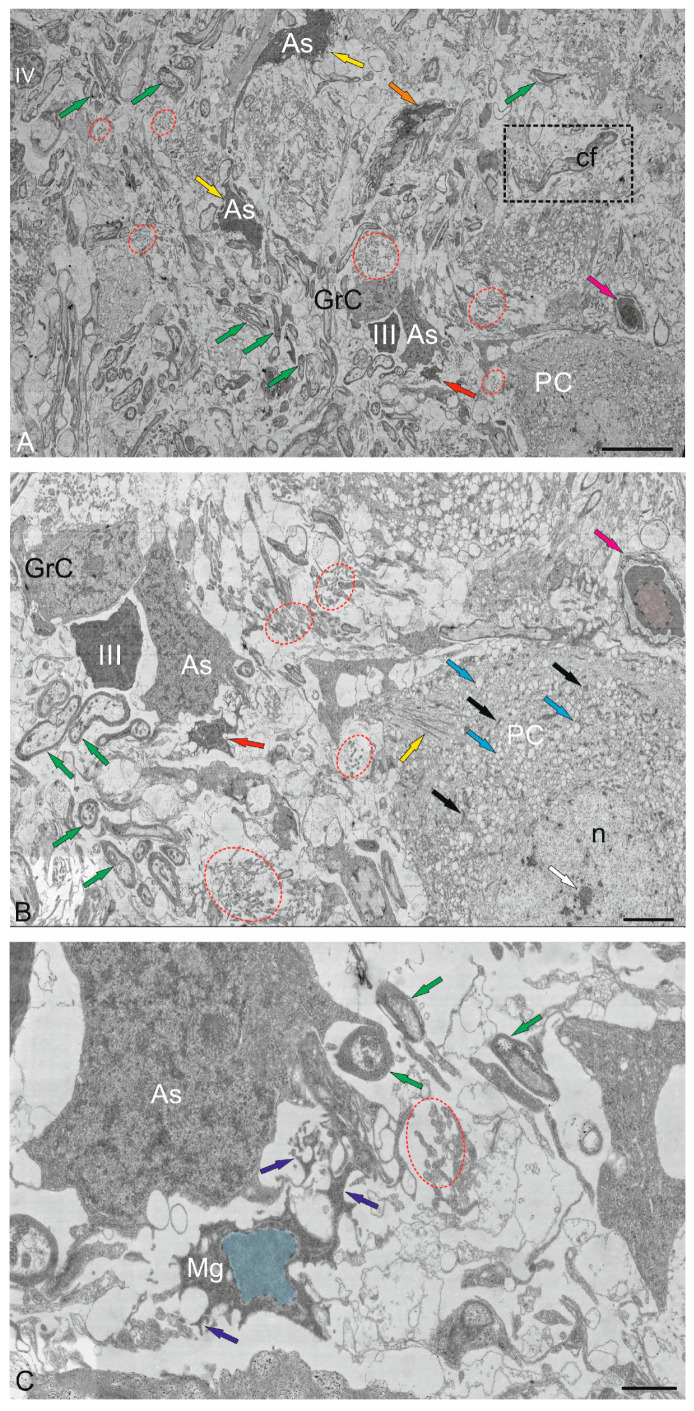 Figure 18