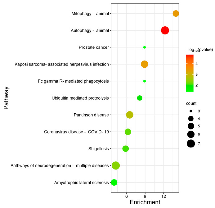 Figure 6