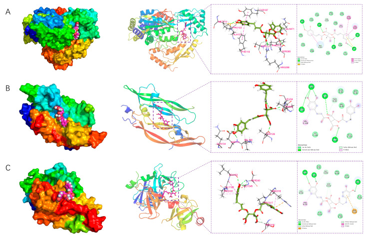 Figure 19