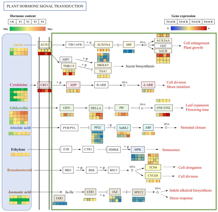 Figure 11