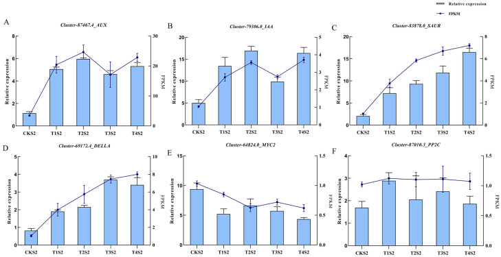 Figure 12