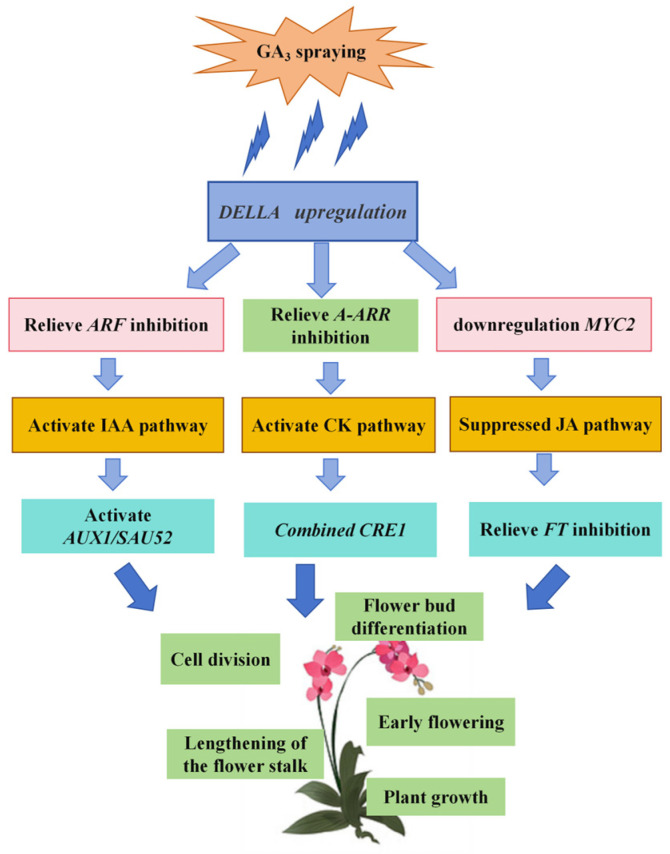 Figure 13