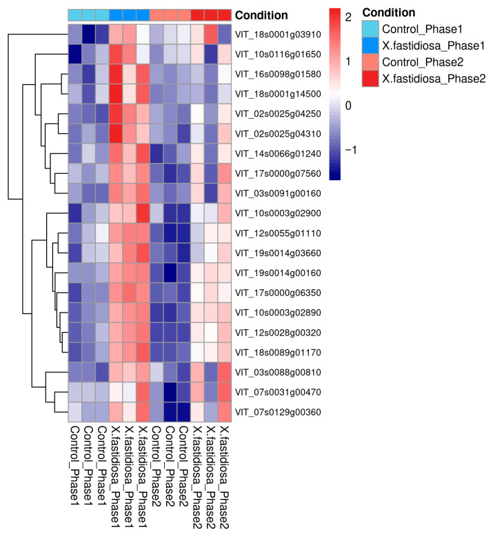 Figure 6