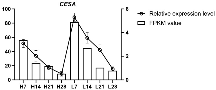 Figure 7