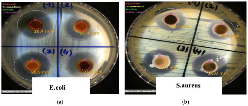 Figure 17