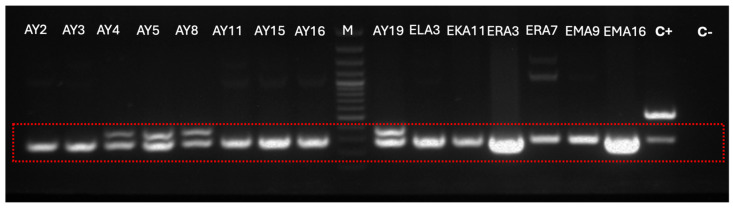 Figure 3