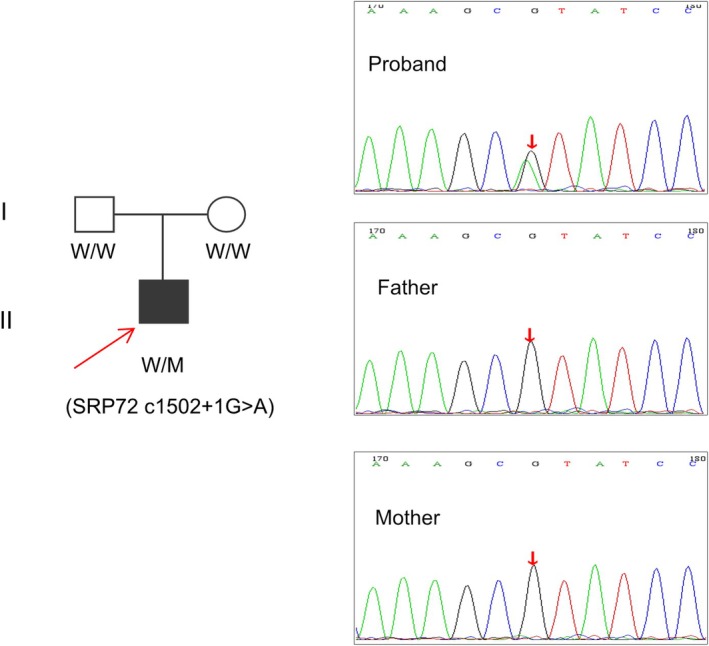 FIGURE 2