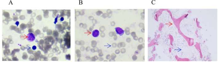 FIGURE 1